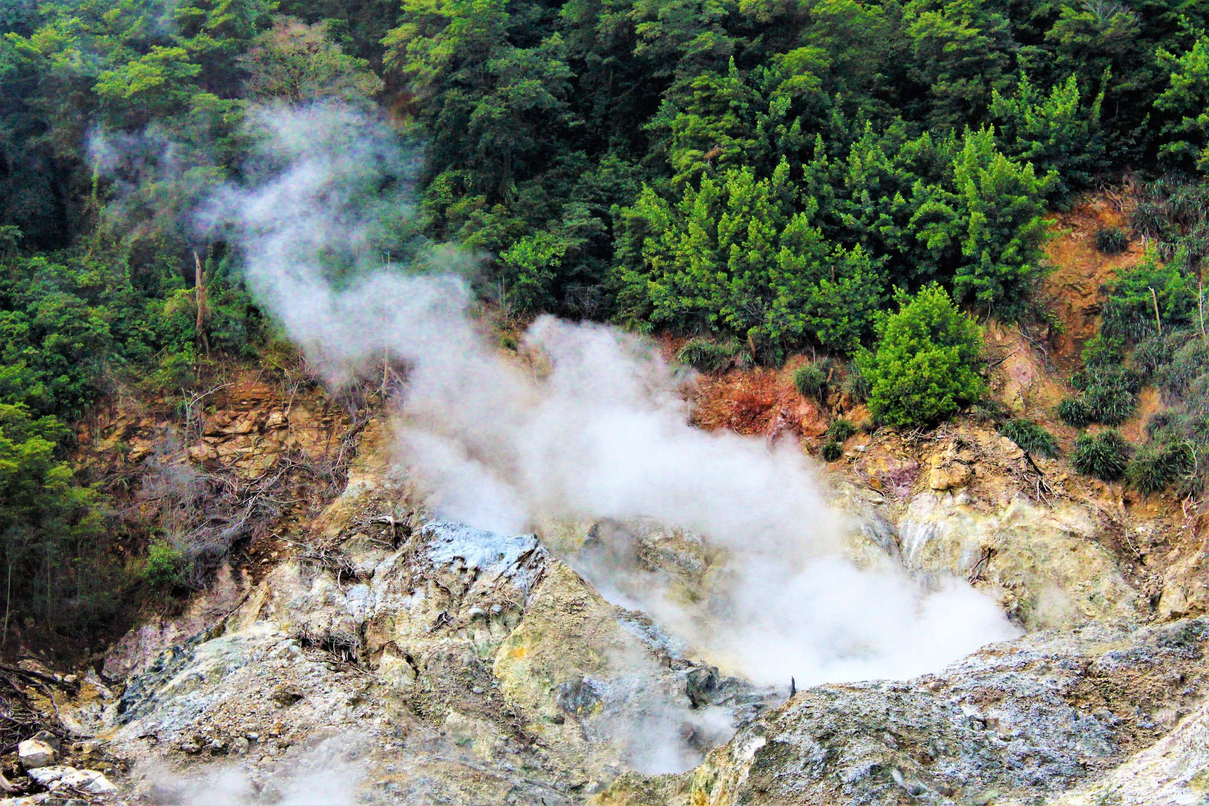 The Sulphur Springs 