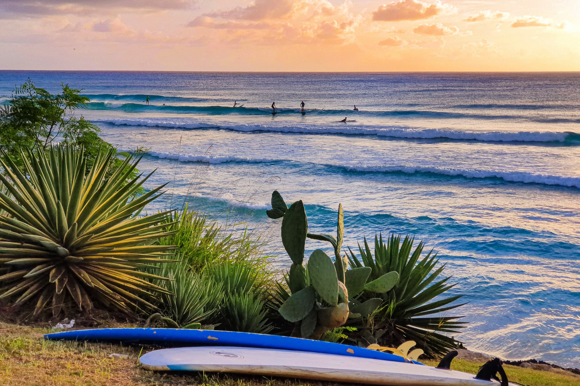 Take up a Surfing Challenge at Soup Bowl