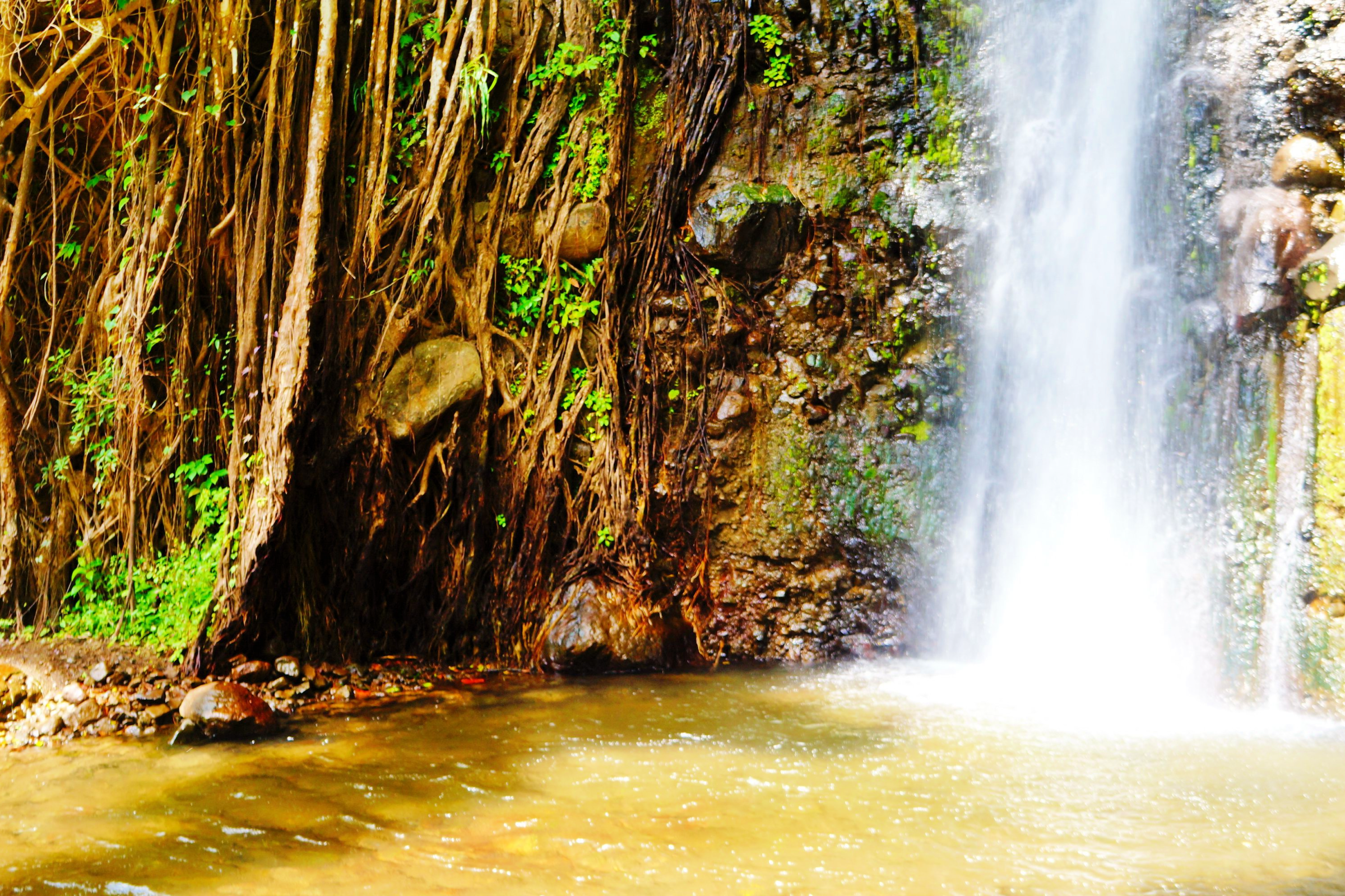 Hike Through Fantastic Scenery