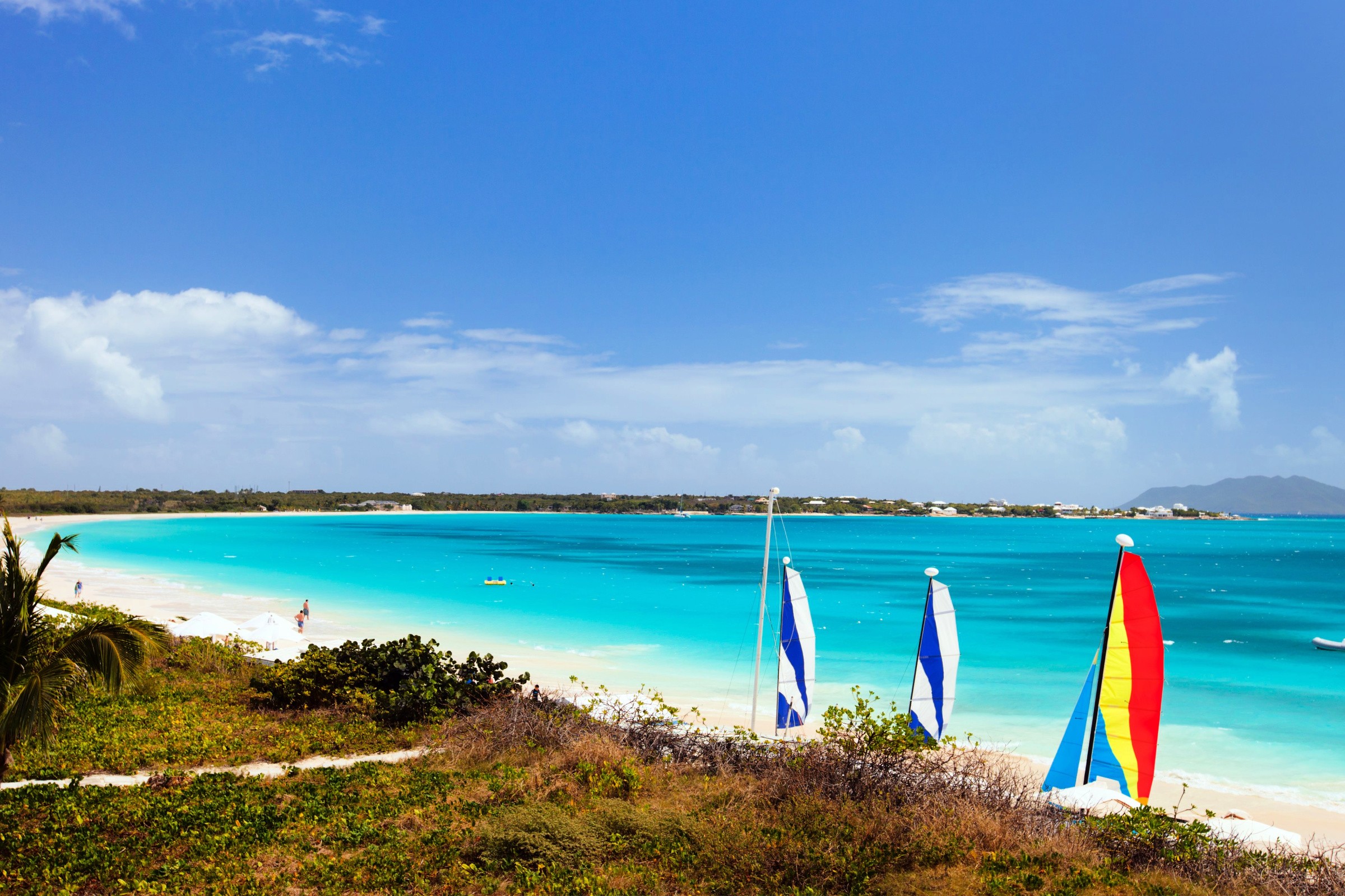 The Gorgeous Coastline