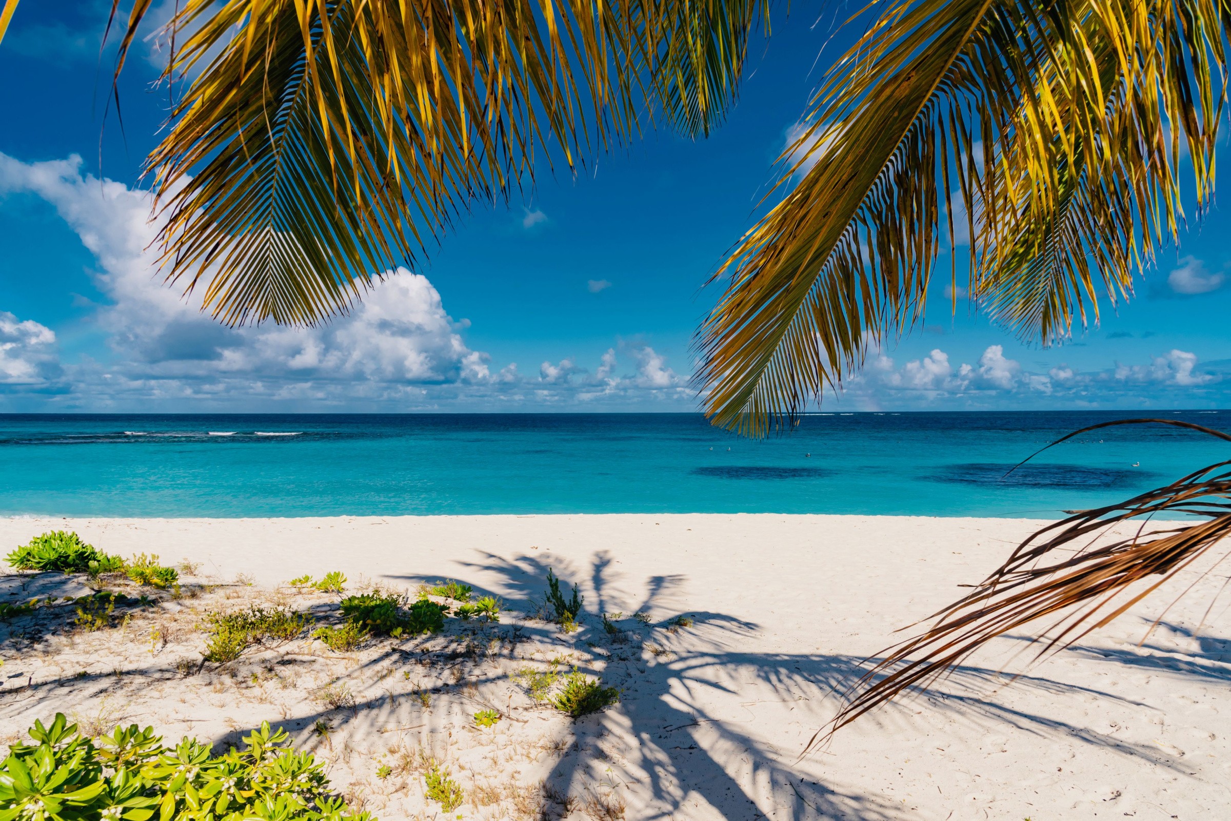 Shoal Bay Village - Chilled Moments by the Sea