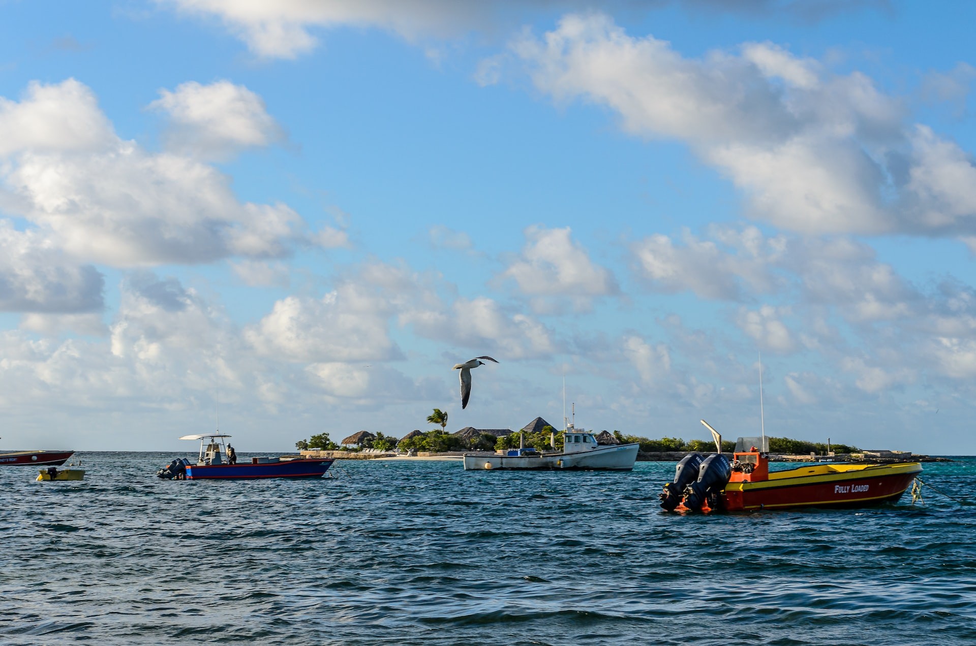 Stoney Ground - The Beating Heart of (Evening) Anguilla