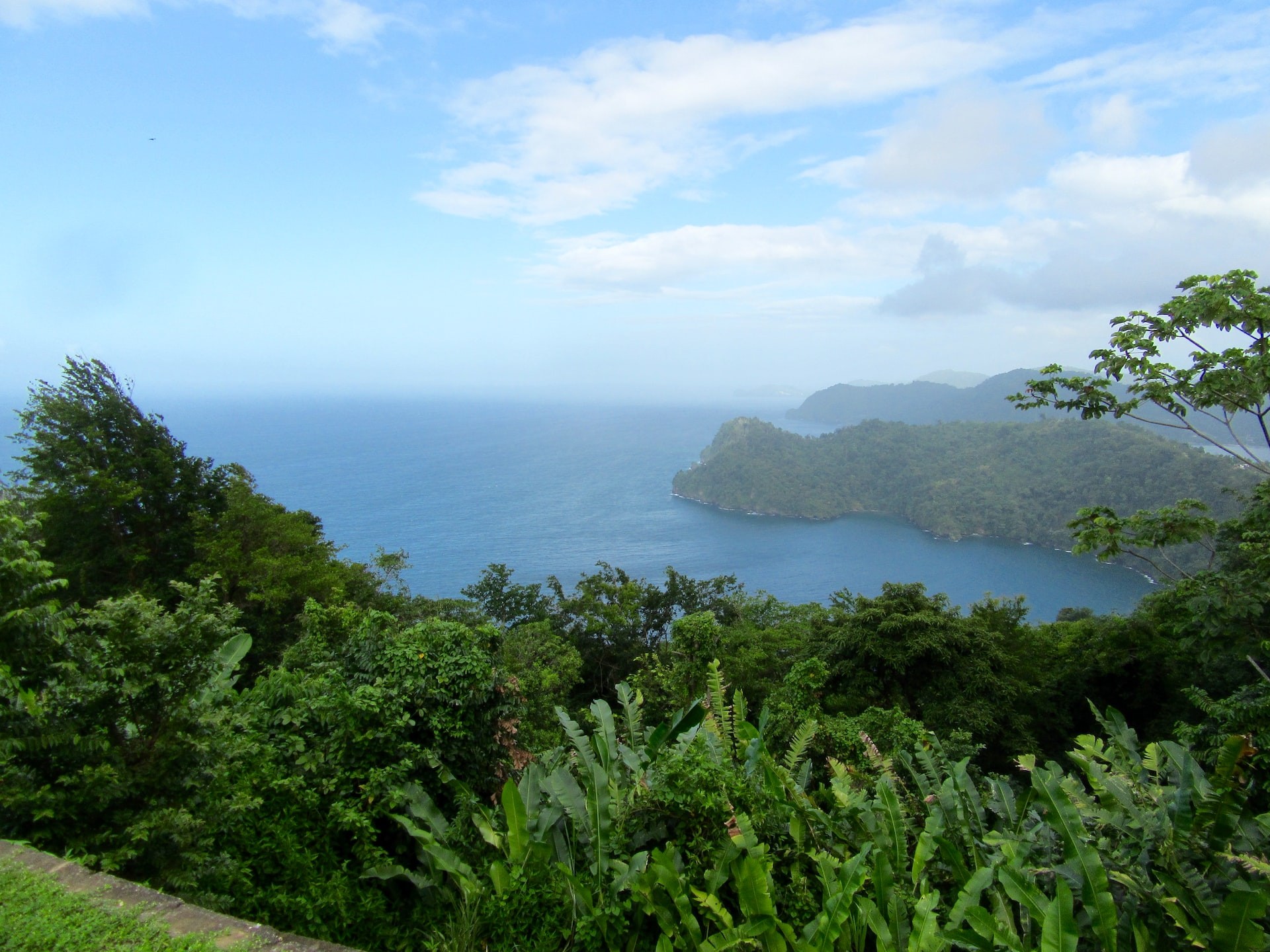 Main Ridge Forest Reserve